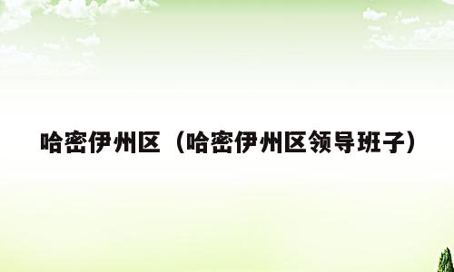 哈密伊州区（哈密伊州区领导班子）