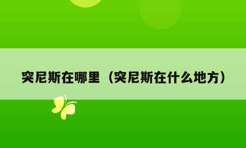 突尼斯在哪里（突尼斯在什么地方）