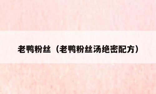 老鸭粉丝（老鸭粉丝汤绝密配方）