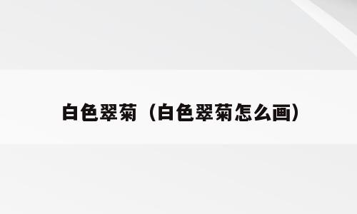 白色翠菊（白色翠菊怎么画）