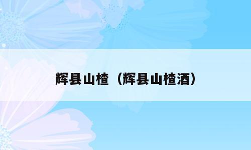 辉县山楂（辉县山楂酒）