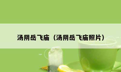 汤阴岳飞庙（汤阴岳飞庙照片）