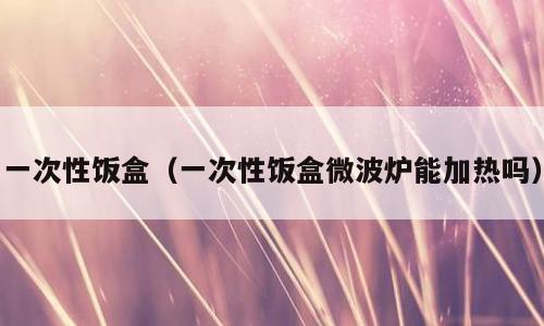 一次性饭盒（一次性饭盒微波炉能加热吗）