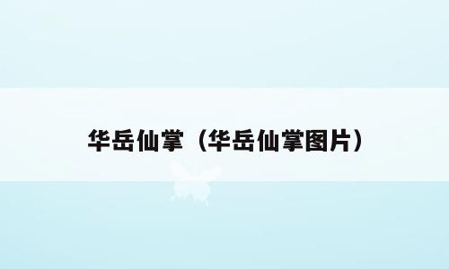 华岳仙掌（华岳仙掌图片）