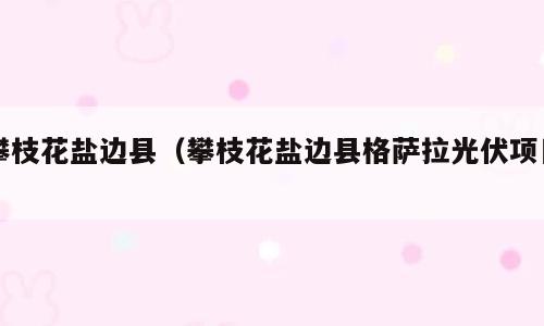 攀枝花盐边县（攀枝花盐边县格萨拉光伏项目）