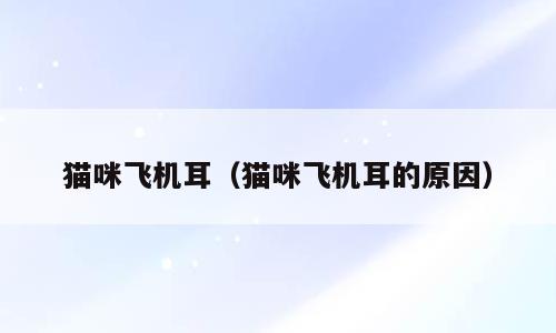 猫咪飞机耳（猫咪飞机耳的原因）