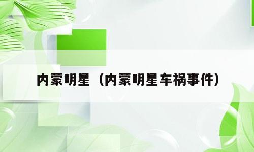 内蒙明星（内蒙明星车祸事件）