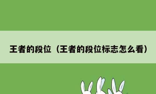 王者的段位（王者的段位标志怎么看）