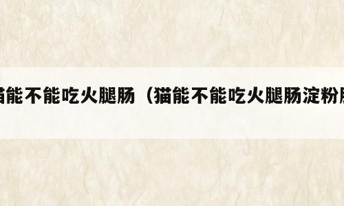 猫能不能吃火腿肠（猫能不能吃火腿肠淀粉肠）