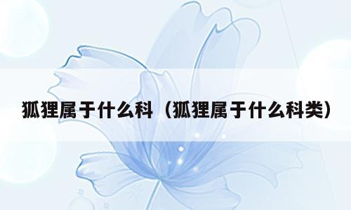 狐狸属于什么科（狐狸属于什么科类）