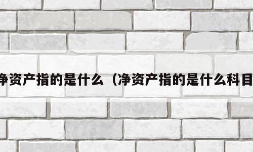 净资产指的是什么（净资产指的是什么科目）