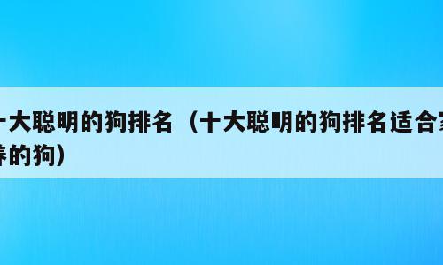 十大聪明的狗排名（十大聪明的狗排名适合家养的狗）