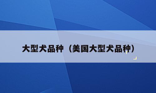 大型犬品种（美国大型犬品种）