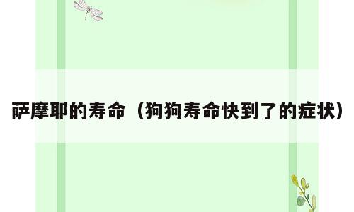 萨摩耶的寿命（狗狗寿命快到了的症状）