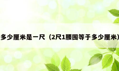 多少厘米是一尺（2尺1腰围等于多少厘米）