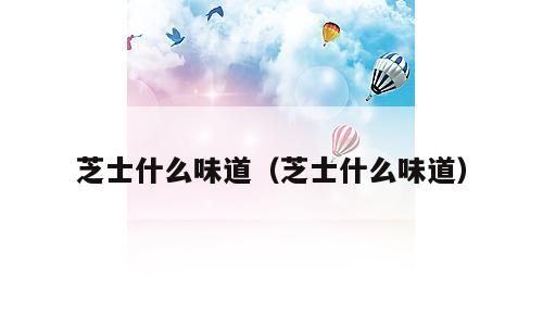 芝士什么味道（芝士什么味道）