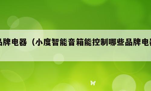 品牌电器（小度智能音箱能控制哪些品牌电器）