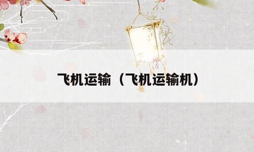 飞机运输（飞机运输机）