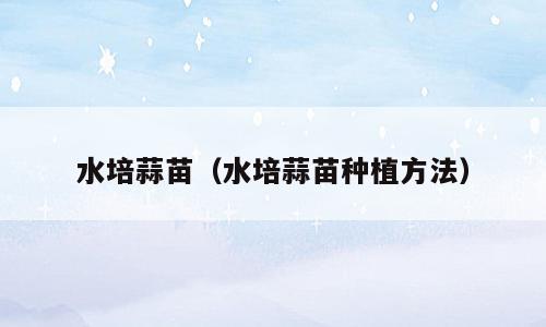 水培蒜苗（水培蒜苗种植方法）