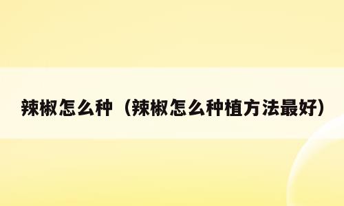 辣椒怎么种（辣椒怎么种植方法最好）