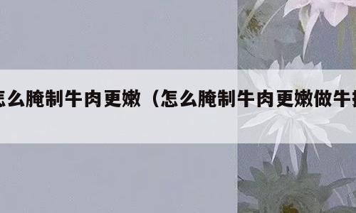 怎么腌制牛肉更嫩（怎么腌制牛肉更嫩做牛排）
