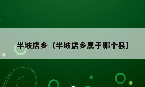 半坡店乡（半坡店乡属于哪个县）