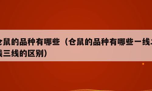仓鼠的品种有哪些（仓鼠的品种有哪些一线二线三线的区别）