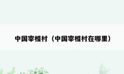 中国宰相村（中国宰相村在哪里）
