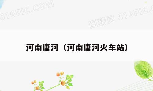 河南唐河（河南唐河火车站）