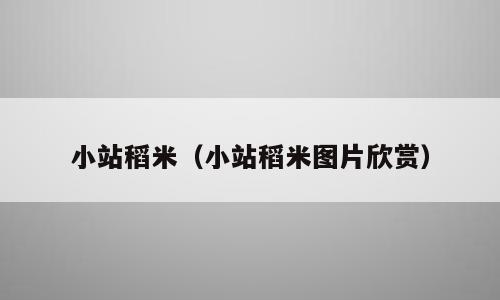 小站稻米（小站稻米图片欣赏）