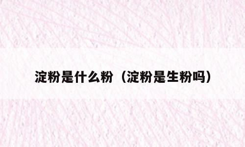 淀粉是什么粉（淀粉是生粉吗）