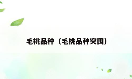 毛桃品种（毛桃品种突围）