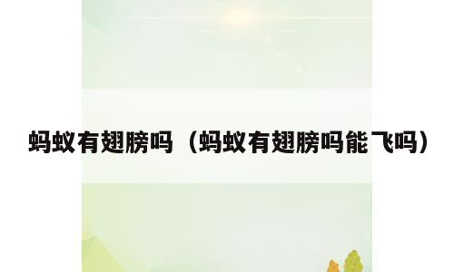 蚂蚁有翅膀吗（蚂蚁有翅膀吗能飞吗）