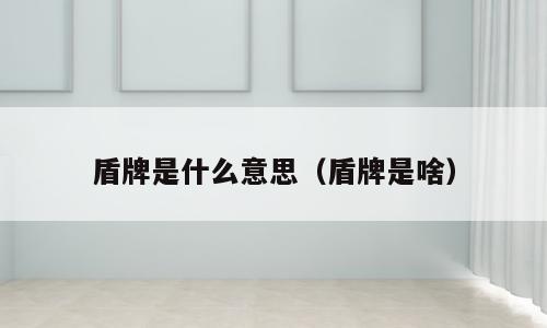 盾牌是什么意思（盾牌是啥）
