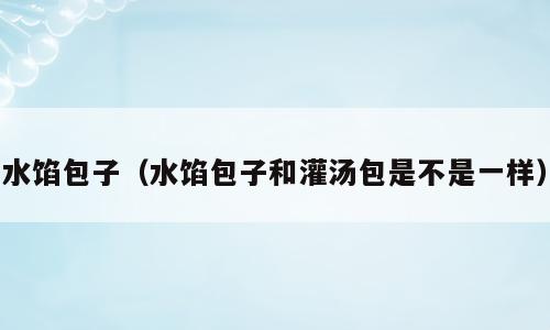 水馅包子（水馅包子和灌汤包是不是一样）