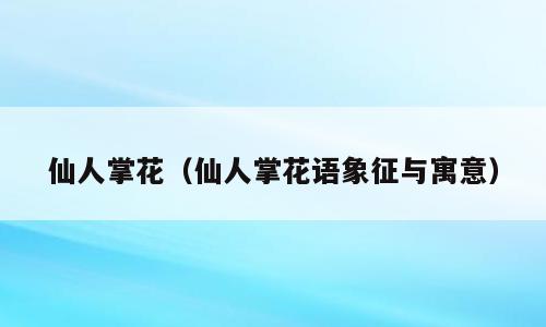 仙人掌花（仙人掌花语象征与寓意）