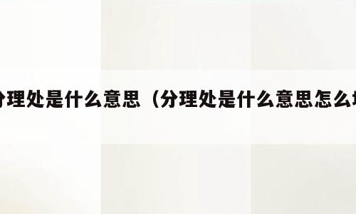 分理处是什么意思（分理处是什么意思怎么填）
