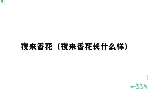 夜来香花（夜来香花长什么样）