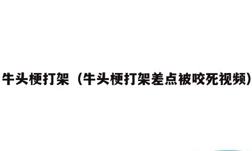 牛头梗打架（牛头梗打架差点被咬死视频）
