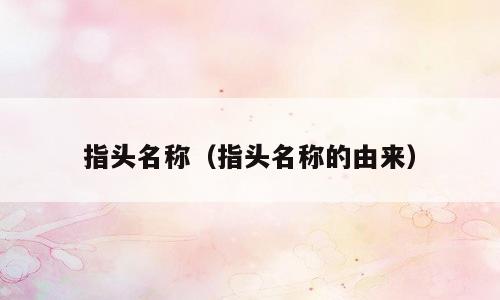 指头名称（指头名称的由来）