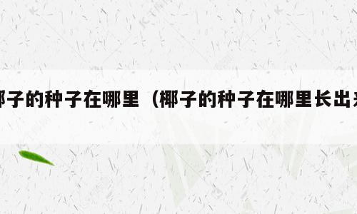 椰子的种子在哪里（椰子的种子在哪里长出来）