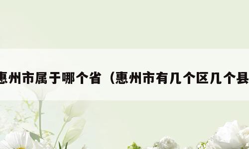 惠州市属于哪个省（惠州市有几个区几个县）