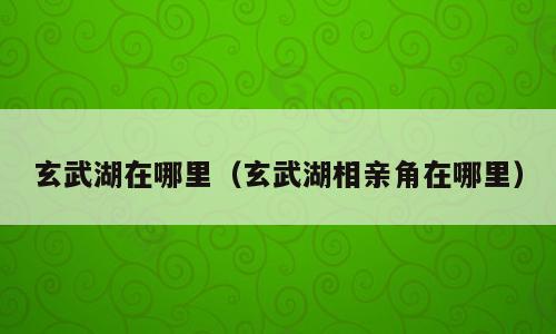 玄武湖在哪里（玄武湖相亲角在哪里）