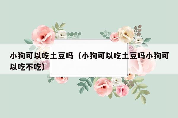 小狗可以吃土豆吗（小狗可以吃土豆吗小狗可以吃不吃）