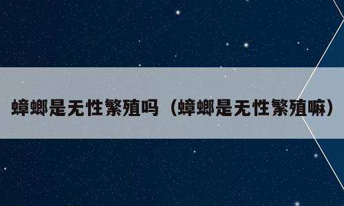 蟑螂是无性繁殖吗（蟑螂是无性繁殖嘛）