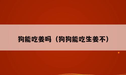 狗能吃姜吗（狗狗能吃生姜不）