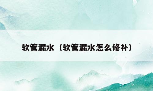 软管漏水（软管漏水怎么修补）