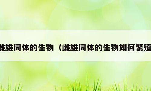 雌雄同体的生物（雌雄同体的生物如何繁殖）