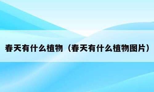 春天有什么植物（春天有什么植物图片）