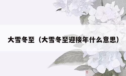 大雪冬至（大雪冬至迎接年什么意思）